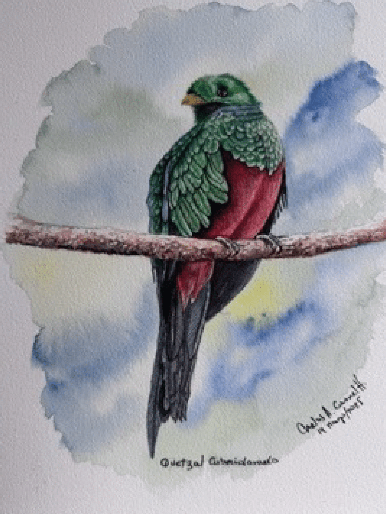 EL QUETZAL CABECIDORADO