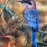 EL BARRANQUERO PIQUIGRUESO