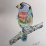 EL CABEZON TUCAN COMPAS