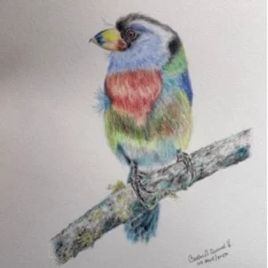 EL CABEZON TUCAN COMPAS