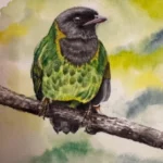 EL FRUTERO VERDINEGRO