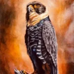 EL GAVILAN MURCIELAGUERO