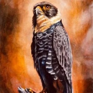 EL GAVILAN MURCIELAGUERO