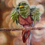 EL QUETZAL CABECIDORADO