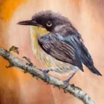 LA ESPATULILLA COMÚN