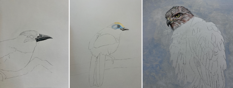 Imagen Aves en papel