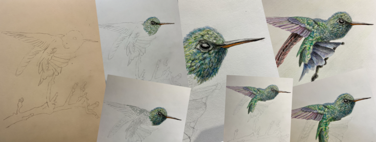 Imagen El arte de las aves