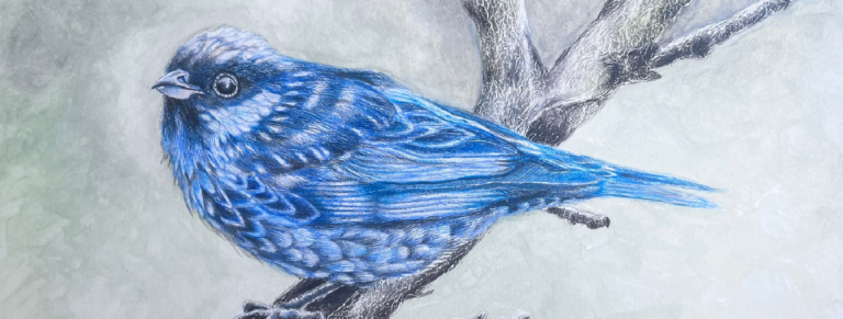 Imagen El vuelo artístico de Carlos Caronel