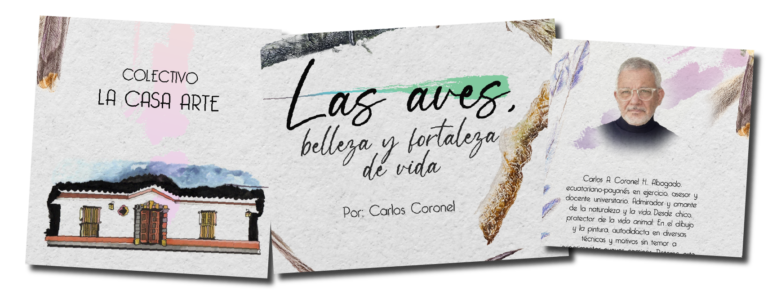 Imagen Exposición colectiva