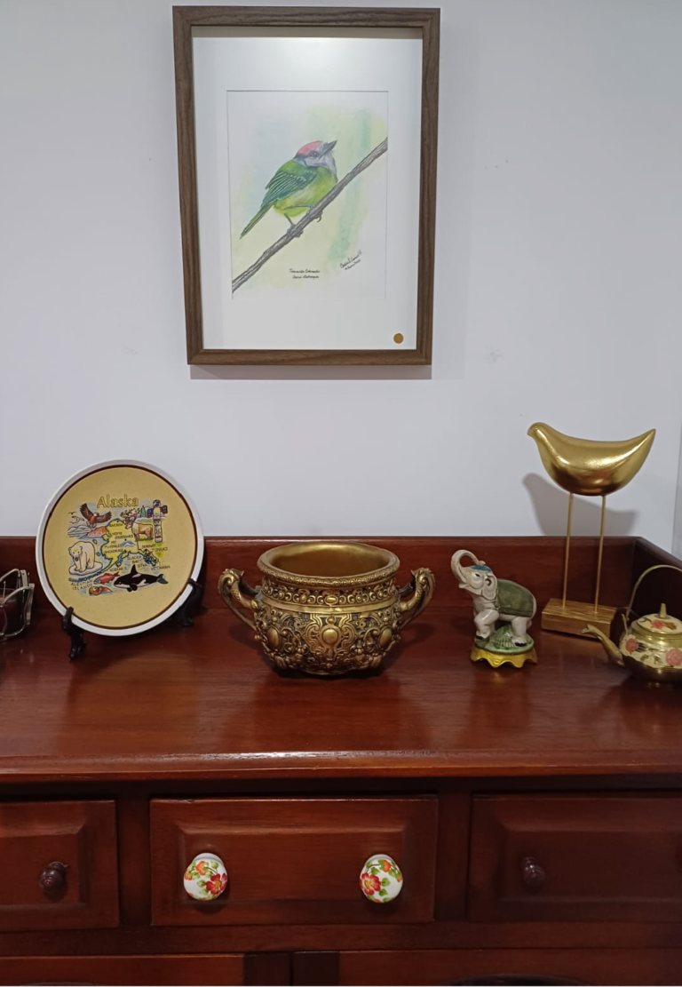 entrega16