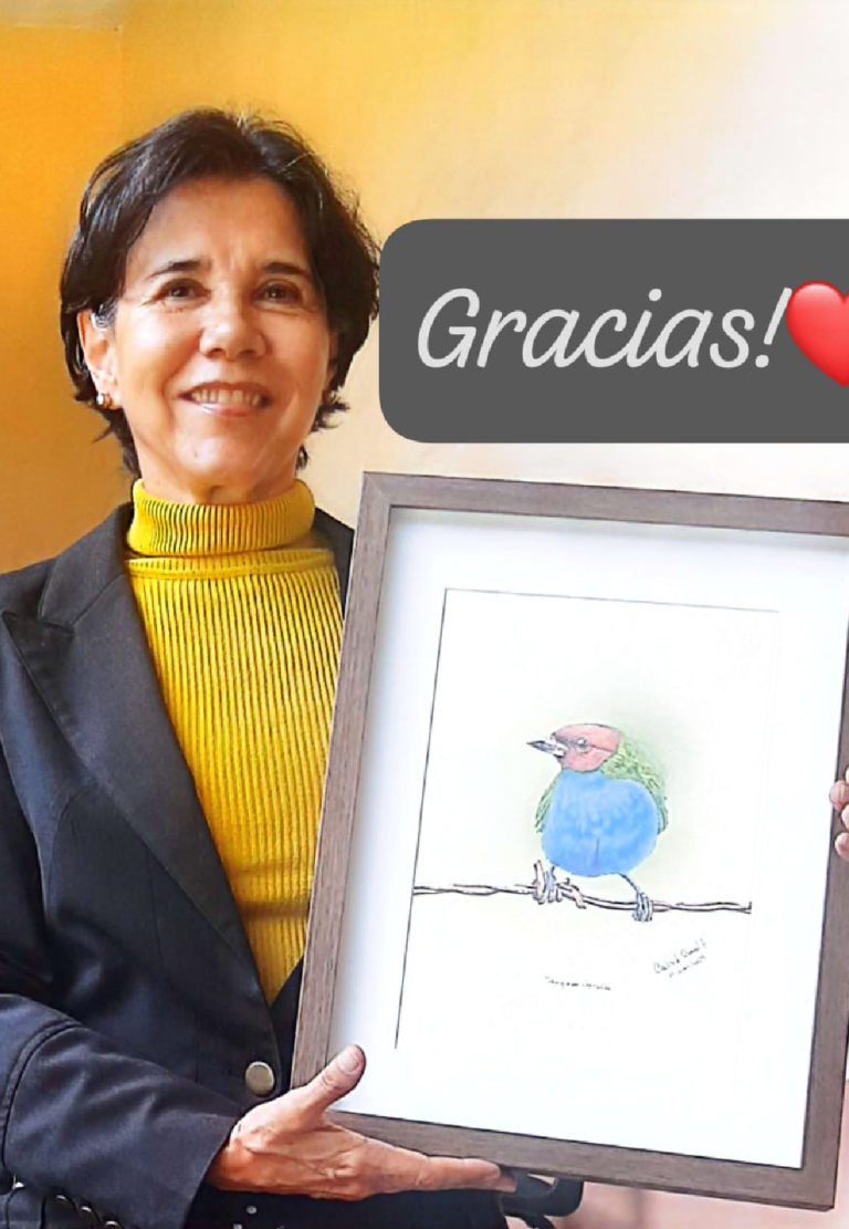 entrega26