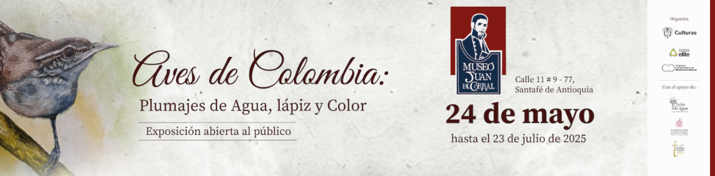 banner pag web