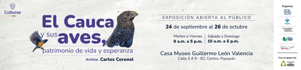 Imagen El Cauca y sus aves